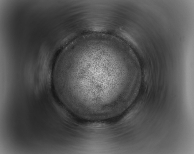 X0000089710542200707121414