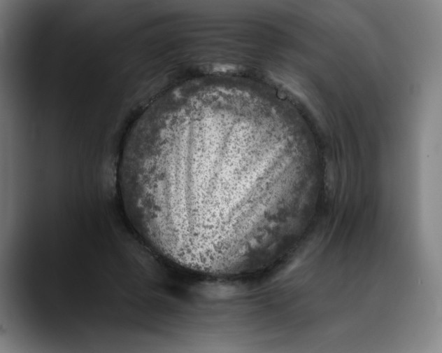 X0000089710545200707121414