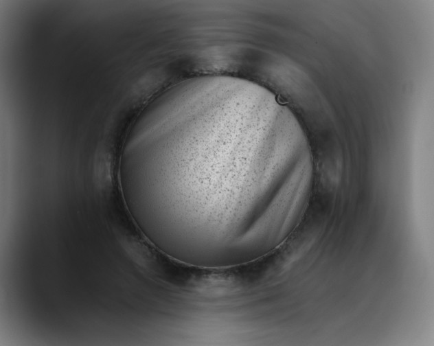 X0000089710546200707121414