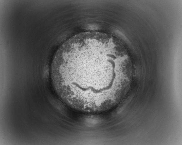 X0000089710549200707121414