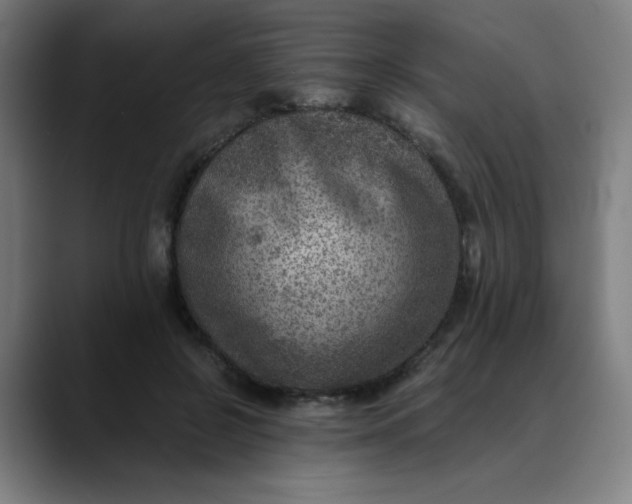 X0000089710550200707121415