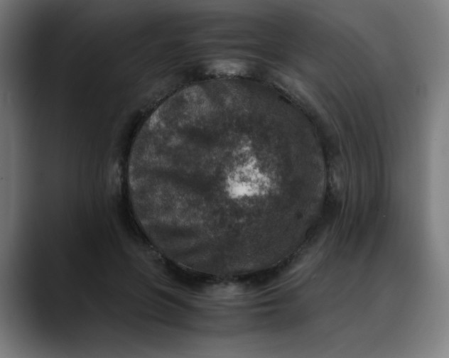 X0000089710551200707121415