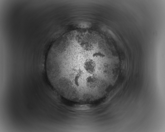 X0000089710553200707121415