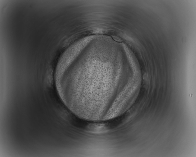 X0000089710554200707121415