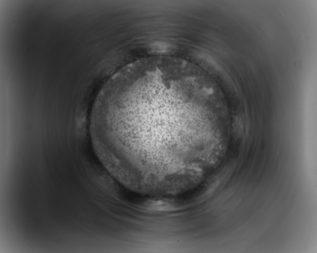 X0000089710557200707121415