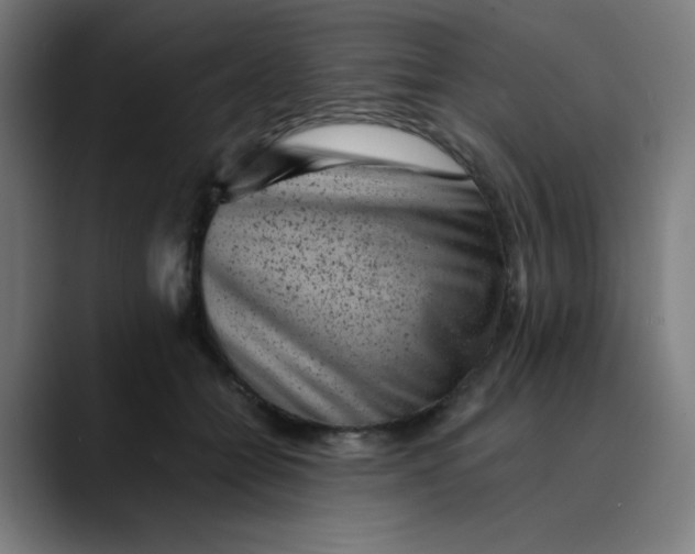 X0000089710558200707121415