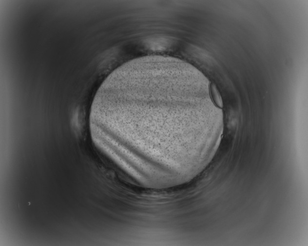 X0000089710559200707121415