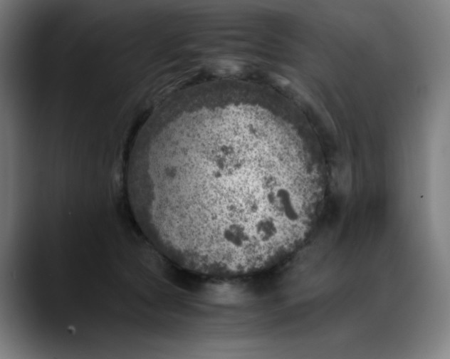 X0000089710561200707121415