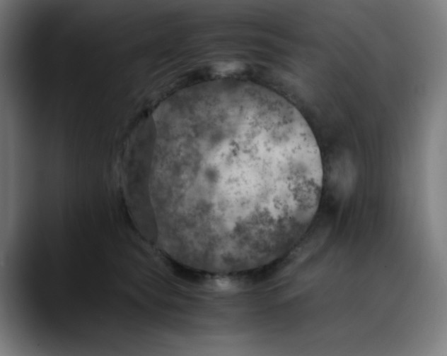 X0000089710565200707121415