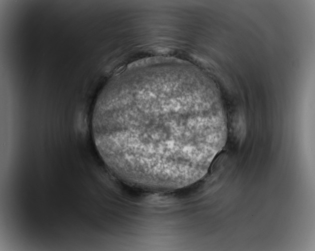 X0000089710568200707121415