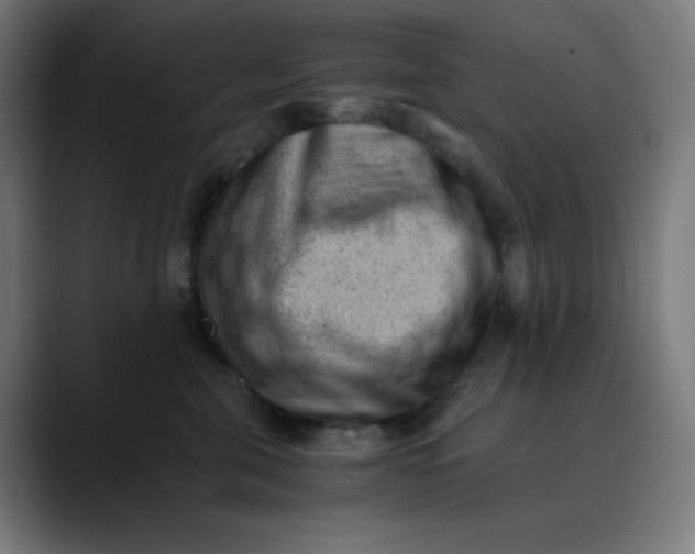 X0000089710571200707121415