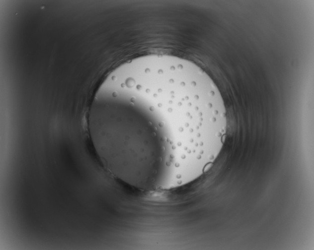 X0000089710573200707121415