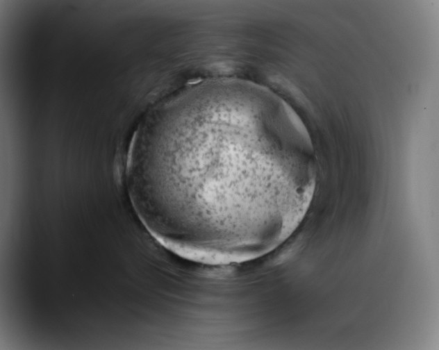 X0000089710576200707121415