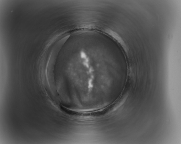 X0000089710577200707121414