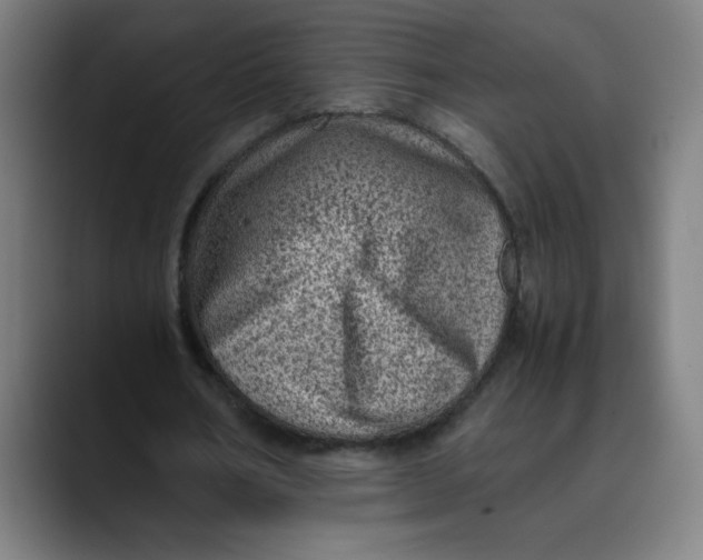 X0000089710578200707121414