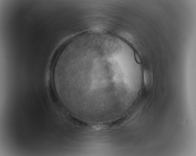 X0000089710579200707121414