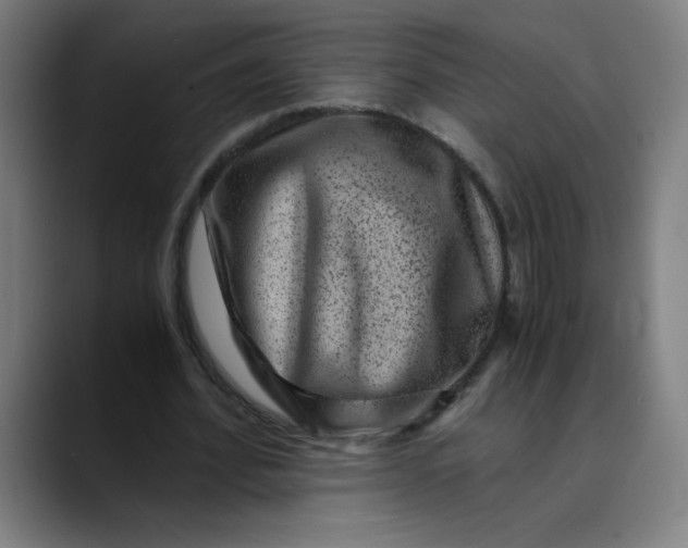 X0000089710580200707121414