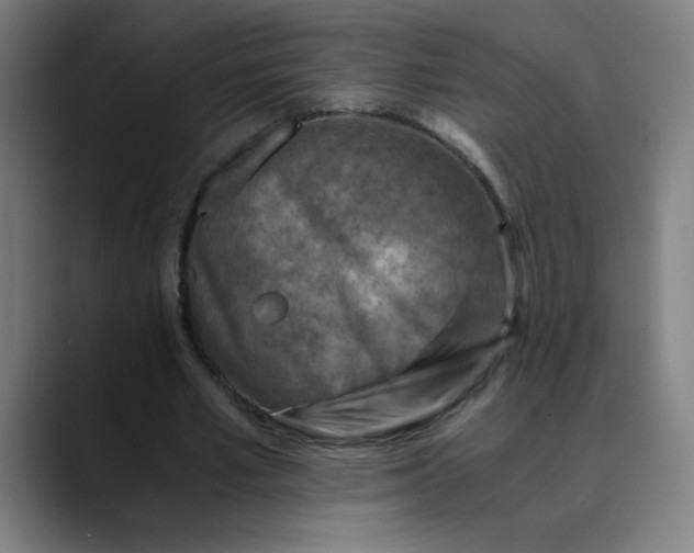 X0000089710581200707121414