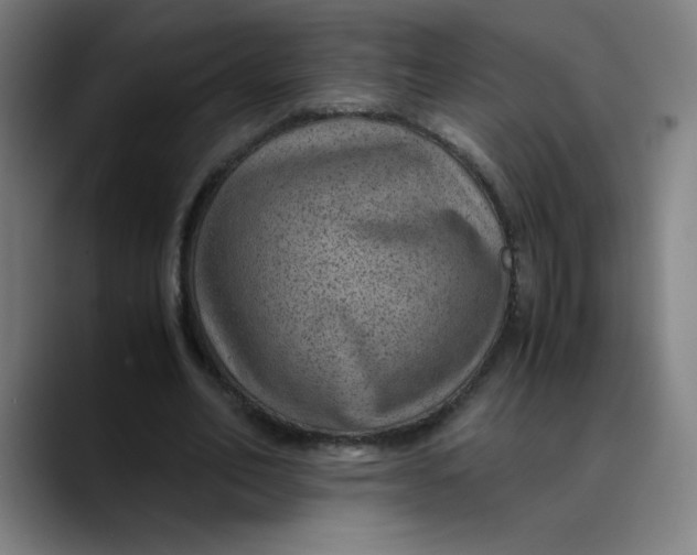 X0000089710582200707121414