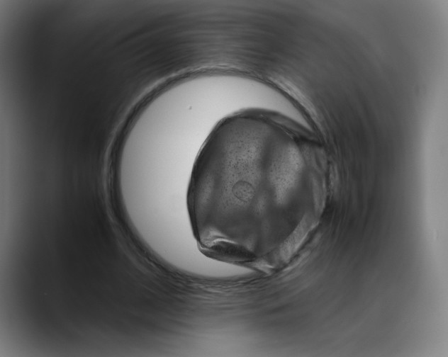 X0000089710584200707121414