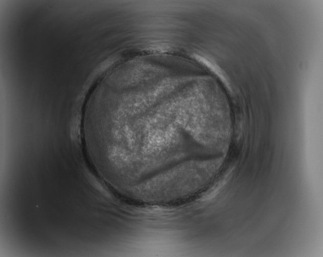 X0000089710585200707121414