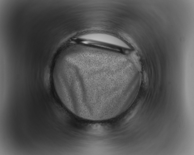 X0000089710588200707121414