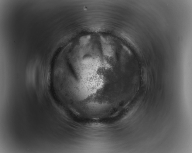 X0000089710590200707121414