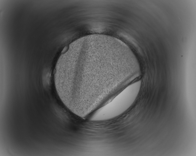 X0000089710596200707121414