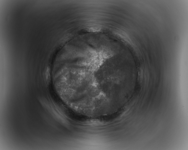 X0000089710598200707121414