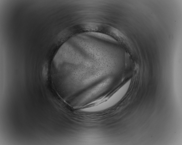 X0000089710600200707121414