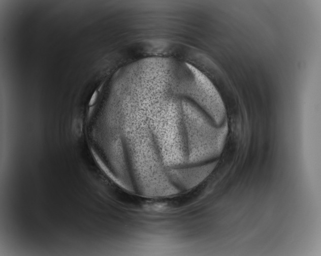 X0000089710602200707121414