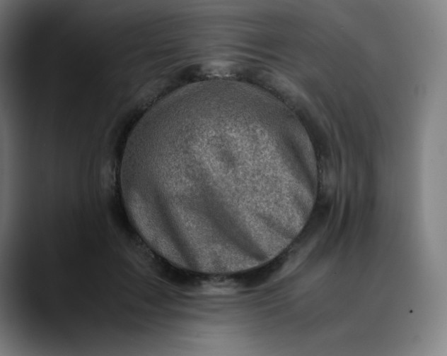 X0000089710603200707121414