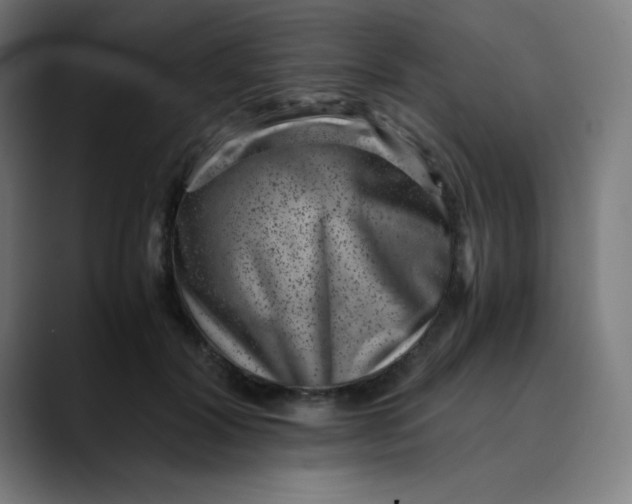 X0000089710604200707121414