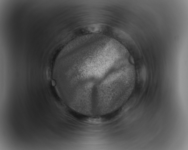 X0000089710606200707121414