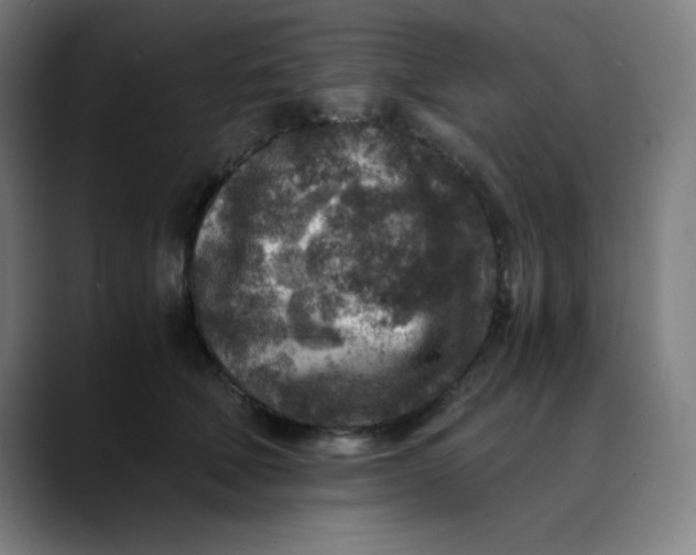 X0000089710610200707121414