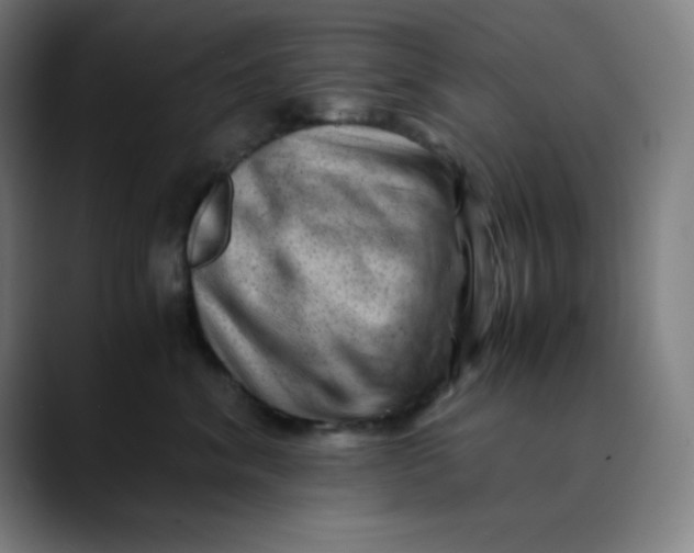 X0000089710620200707121414