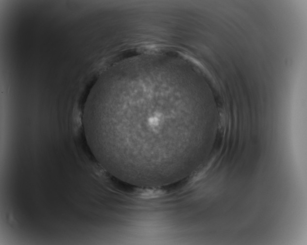 X0000089710621200707121414