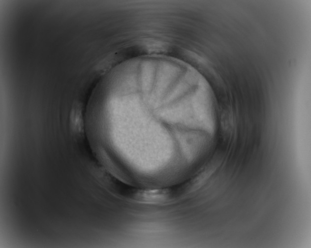 X0000089710622200707121414