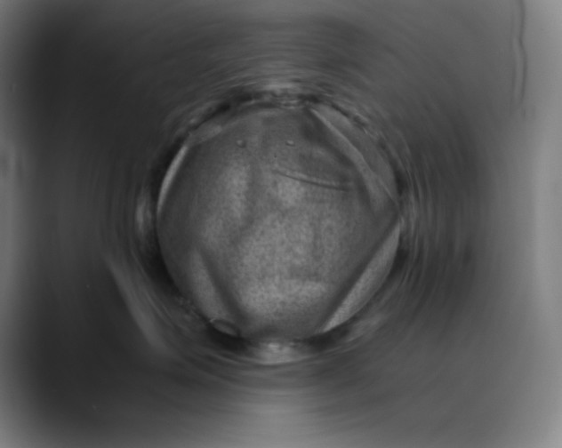 X0000089710623200707121414