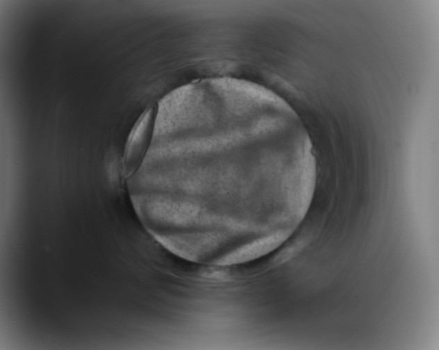 X0000089710624200707121414