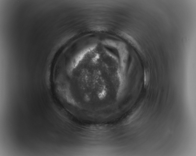 X0000089710627200707121413