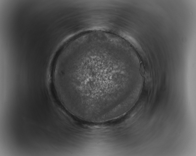 X0000089710628200707121413