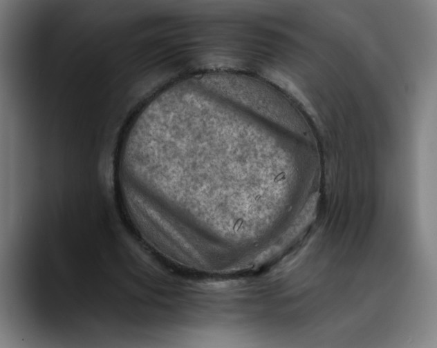 X0000089710629200707121413