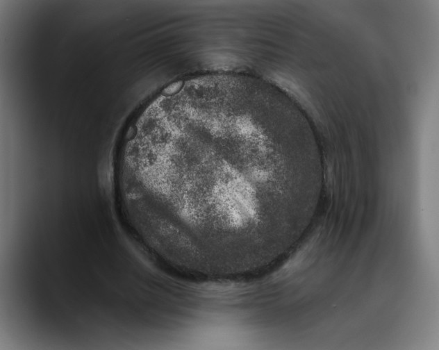 X0000089710630200707121413