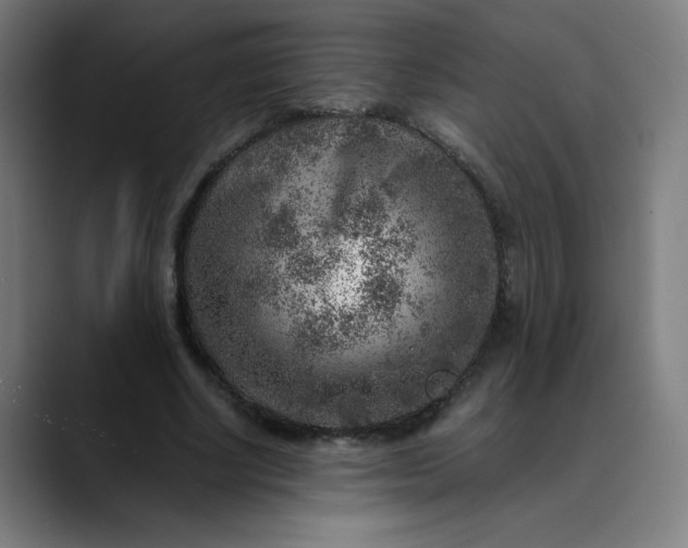 X0000089710634200707121413