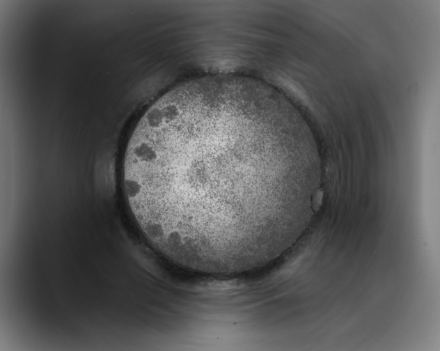 X0000089710638200707121413