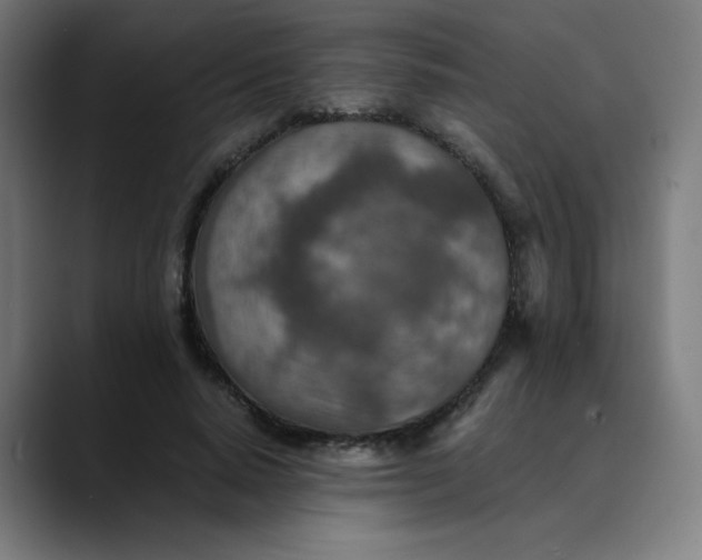 X0000089710640200707121413