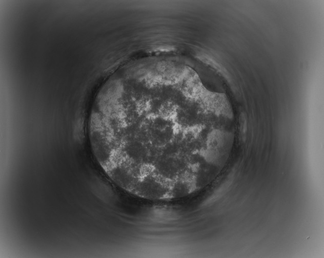 X0000089710641200707121413