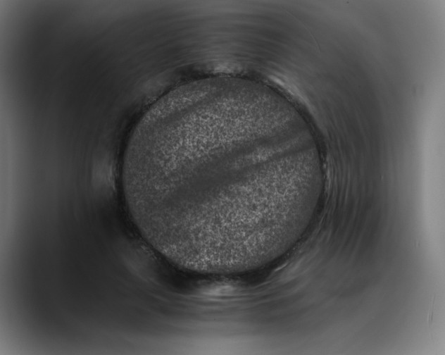 X0000089710643200707121413