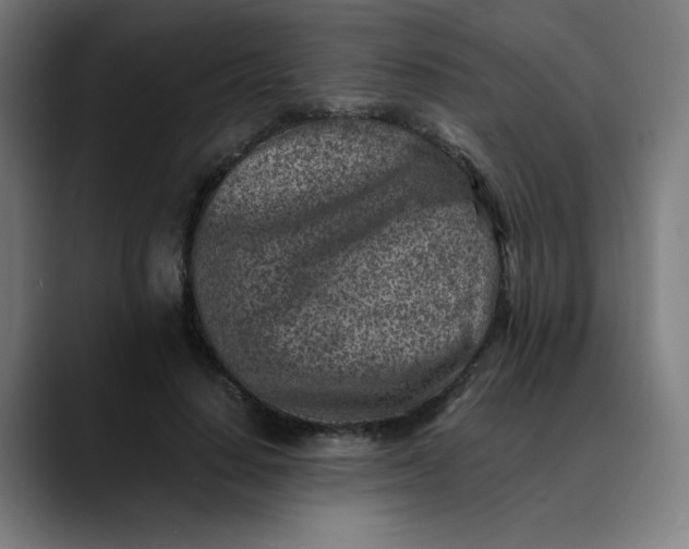 X0000089710644200707121413